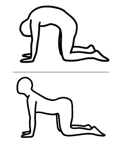 Jogom protiv stresa: 10 vežbi koje će vam pomoći momentalno 2 macka krava yoga