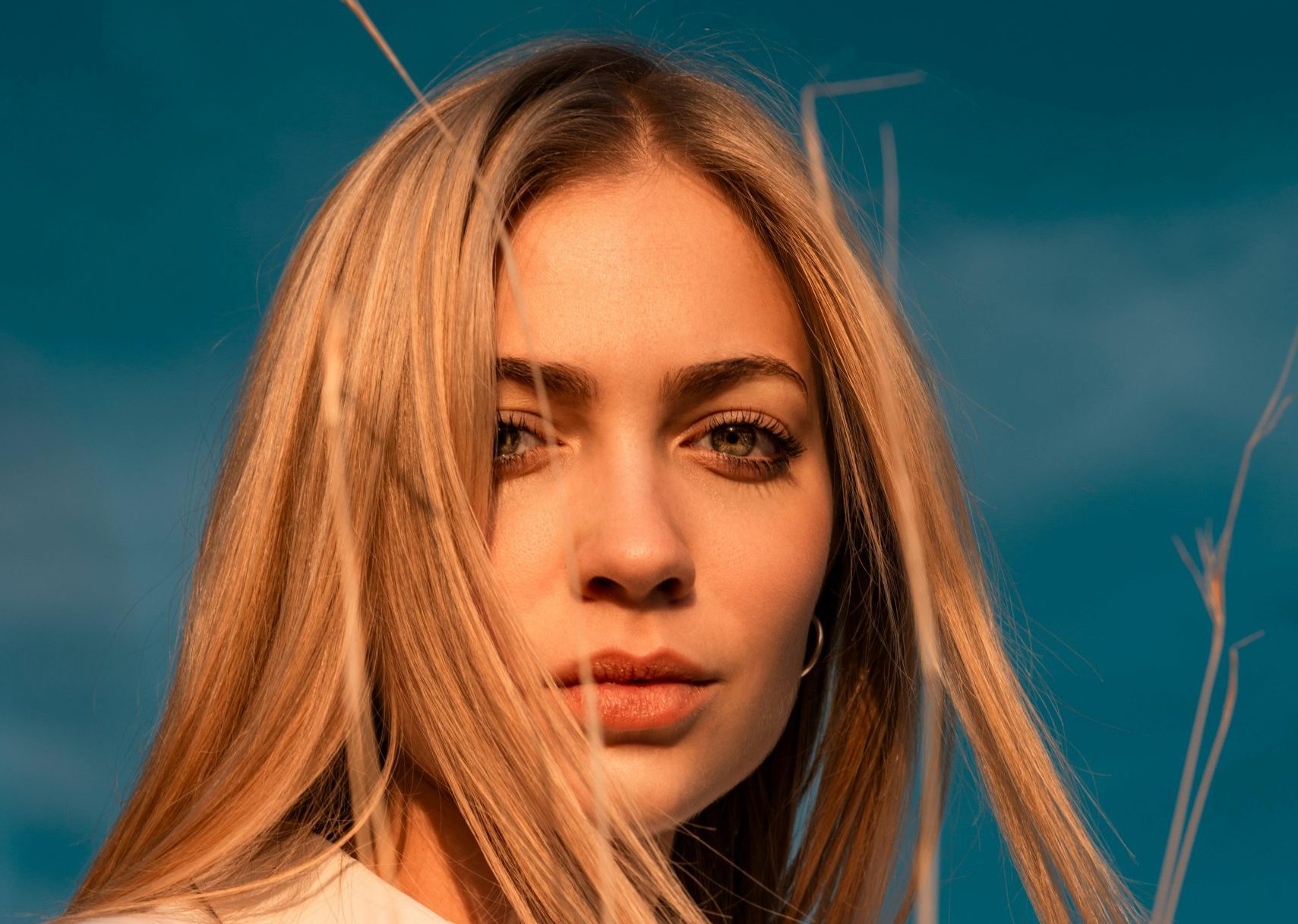 pexels alessio cesario 975080 1906815 scaled e1737823942798