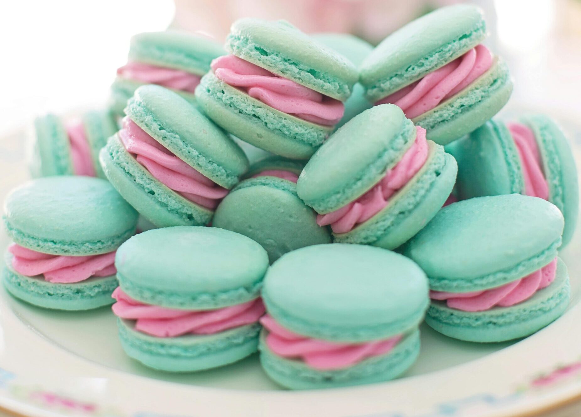 pexels jill wellington 1638660 3776942 scaled e1739726837990