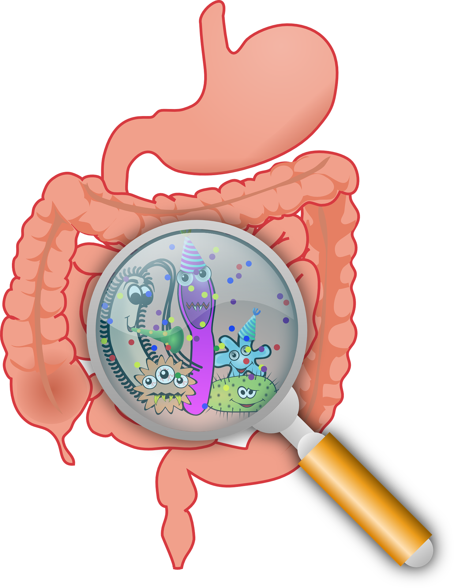 Hrana kao lek: Šta jesti za zdravlje celog tela 4 anatomy 160524 1920