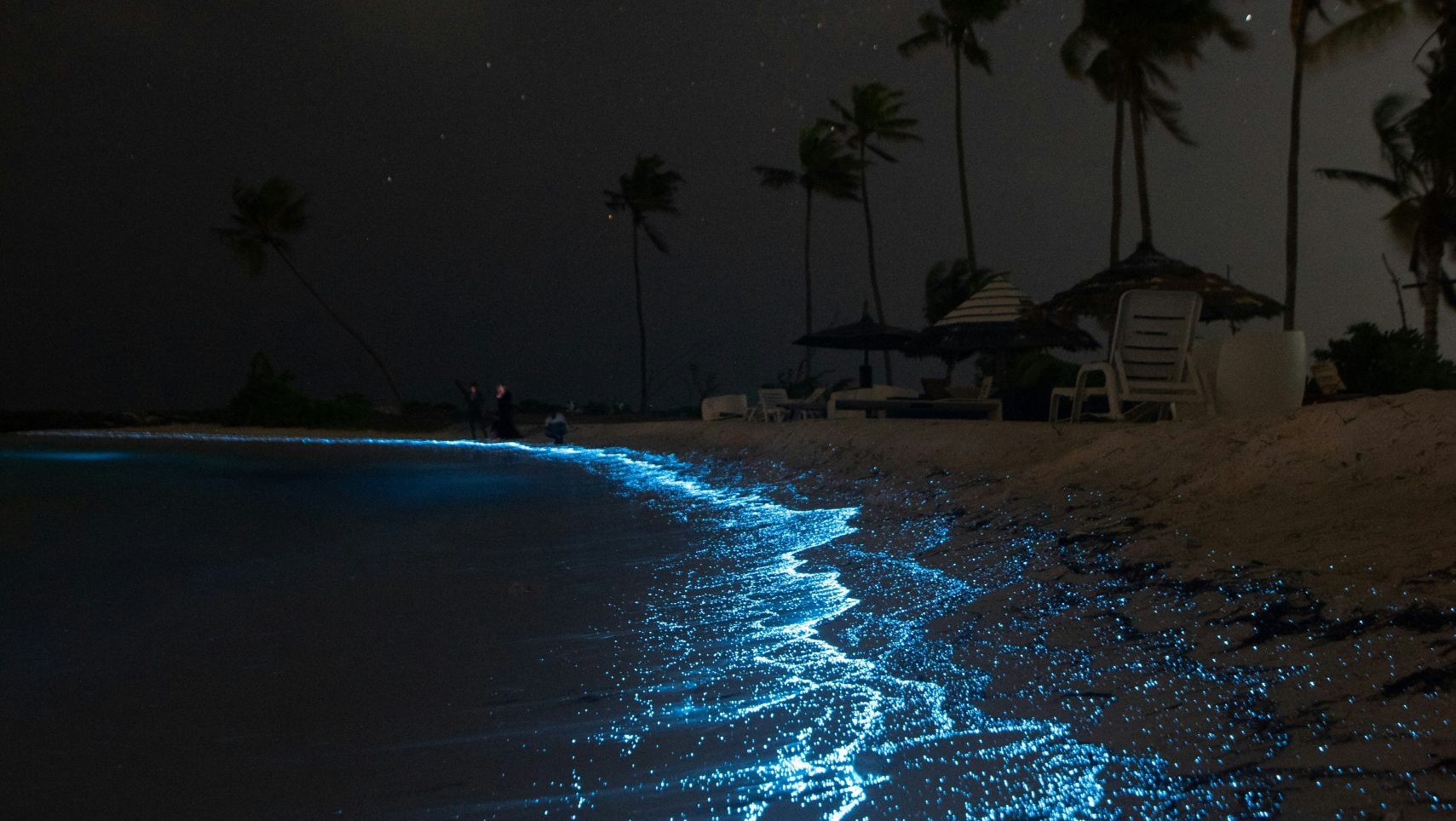 Zaboravite Kankun: Ostrvo u Meksiku koje morate videti pre nego što ga otkriju svi 1 ahmed nishaath Ob fML x3F0 unsplash scaled e1755697889119