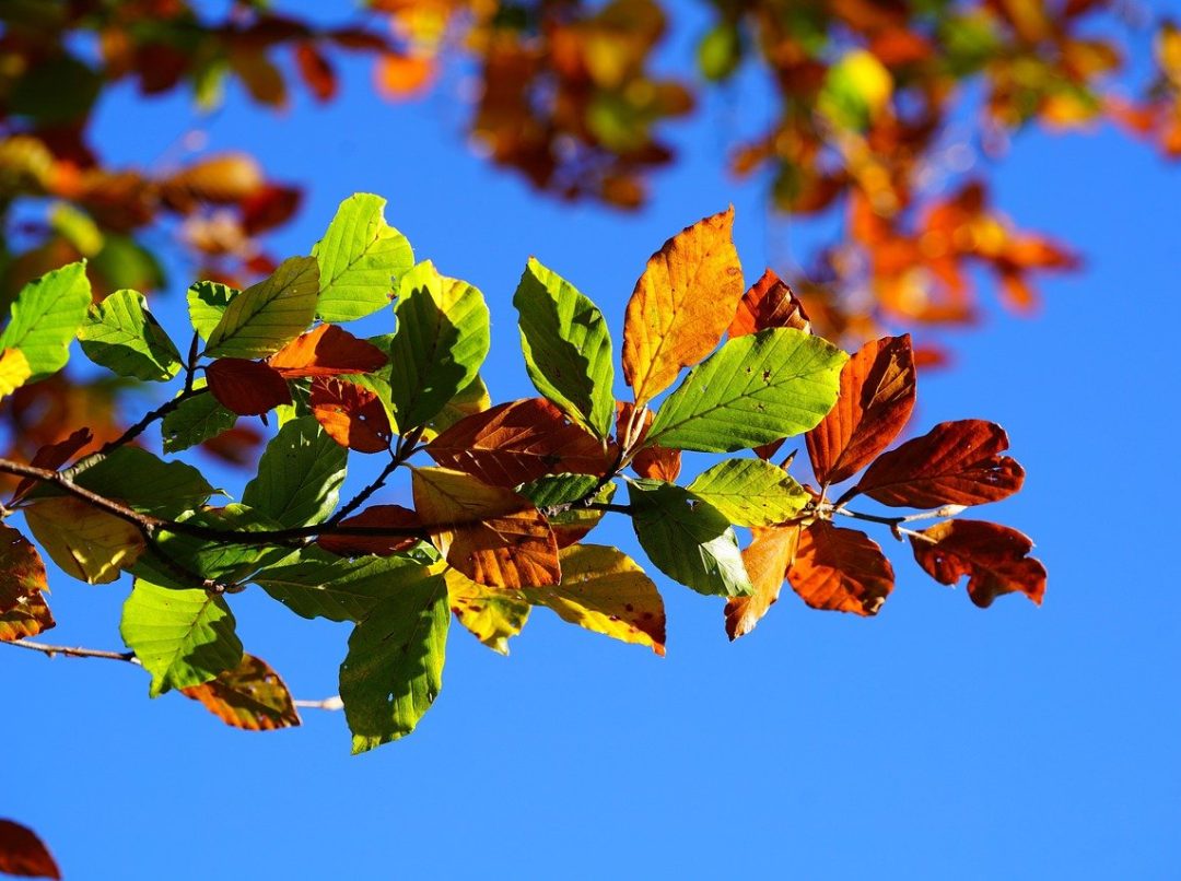 velike promene na jesen