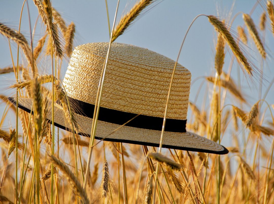 foto: pixabay