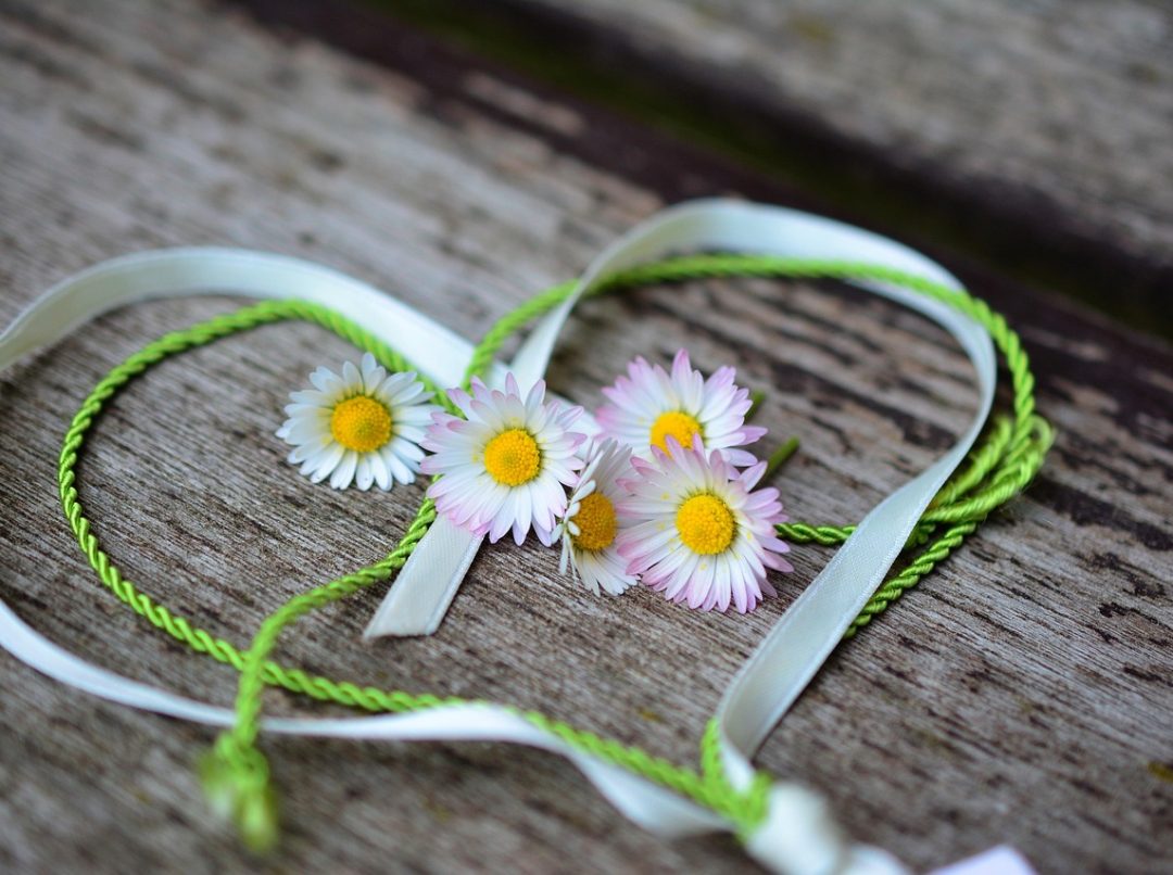 foto: pixabay