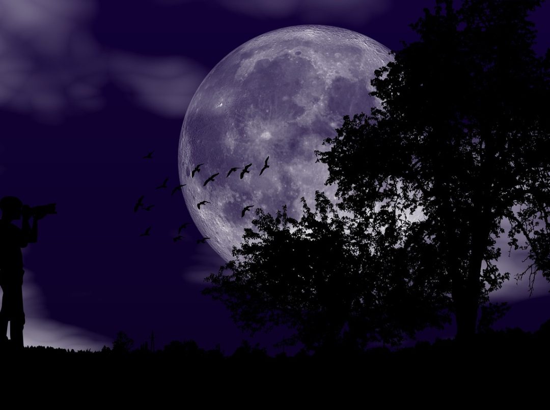 foto: pixabay