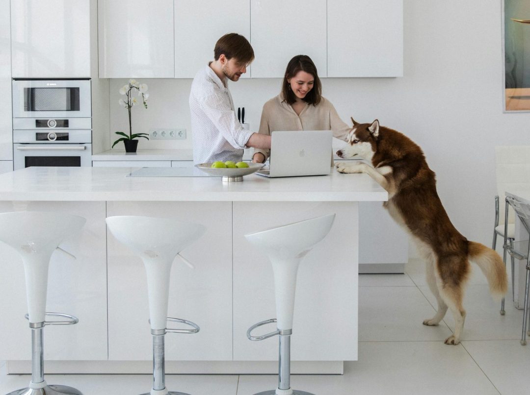 Ljubimci u stanu: Par sa haskijem