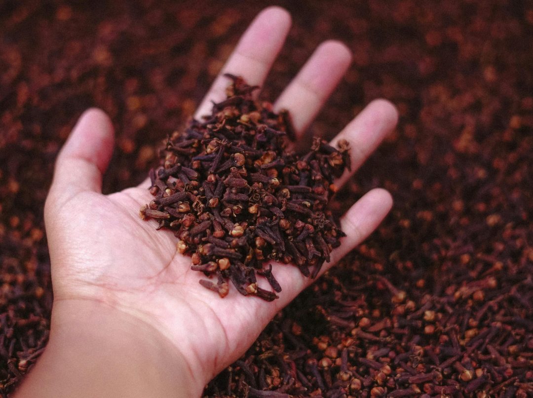 Voda od karanfilića: Karanfilić na dlanu, foto: pexels