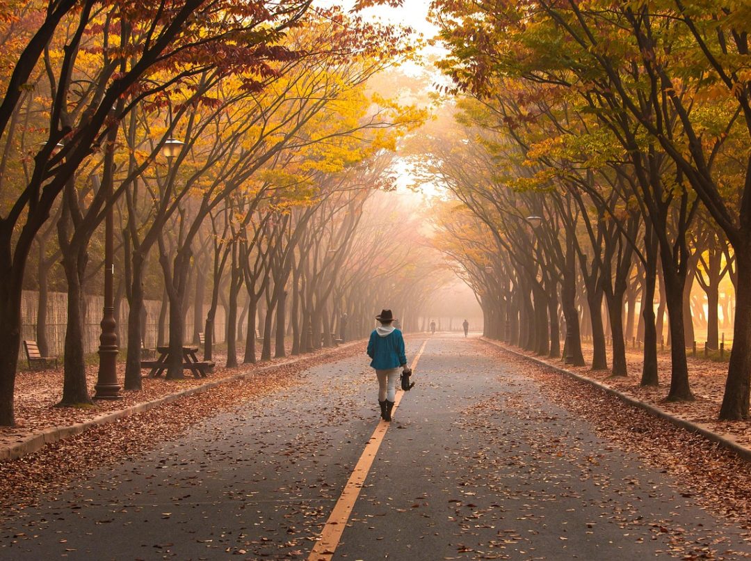 horoskop za jesen 2025.