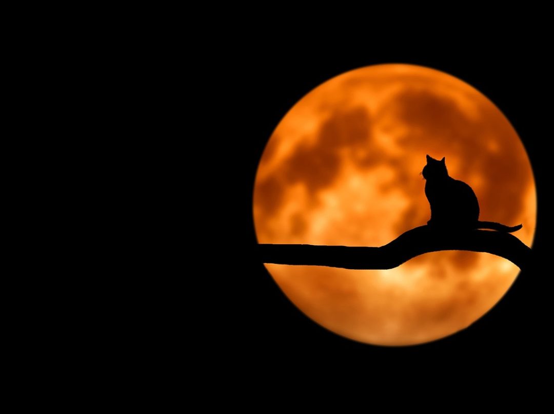 foto: pixabay